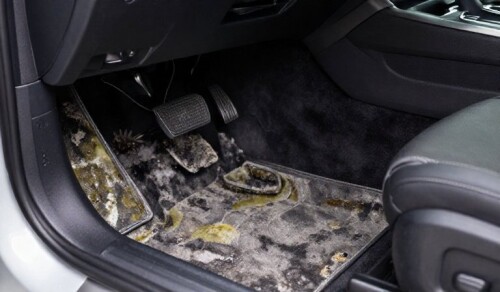 tier2-kak-zasitit-zenskij-avtomobil-ot-v-3.jpg